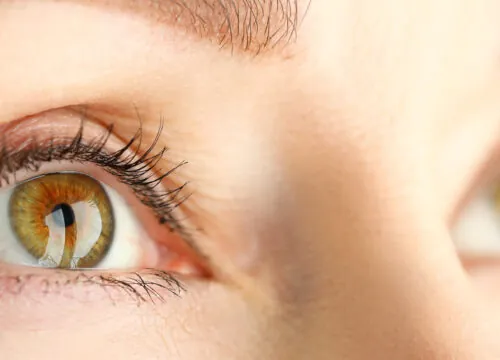 Photo of a woman's eyes